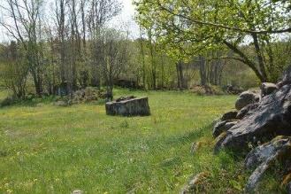 Mönsterås Fälle 6:3 och Habbestorp 1:19 Skogsmark Skogsmarken om 3,6 ha äldre tallskog samt en mindre åkerholme bevuxen med ekskog. I avd.