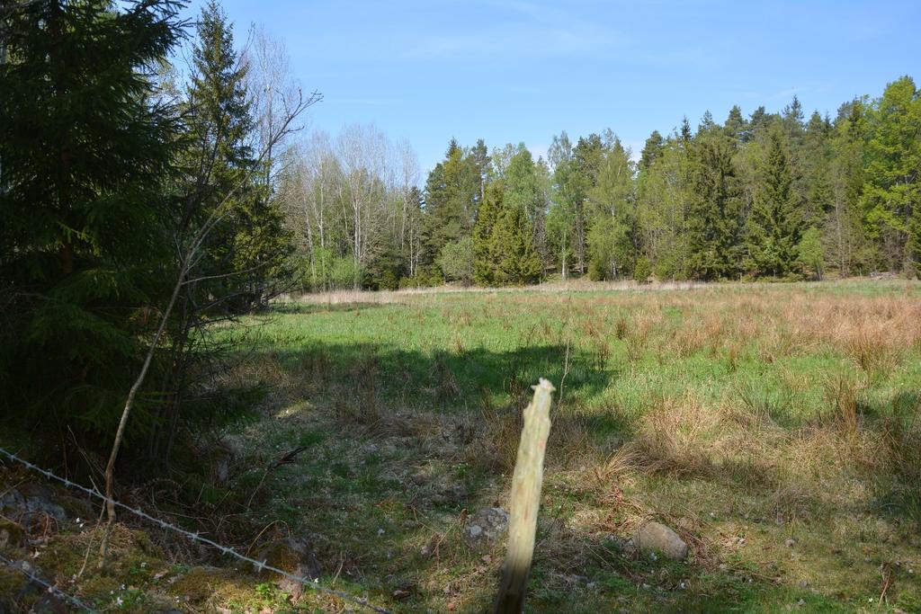Mönsterås Fälle 6:3 och Habbestorp 1:19 Om Skog & Lantbruk Skog & Lantbruk är ett rådgivningsföretag som arbetar med följande tjänster inom jord och skog: - Fastighetsförmedling - Generationsskifte -