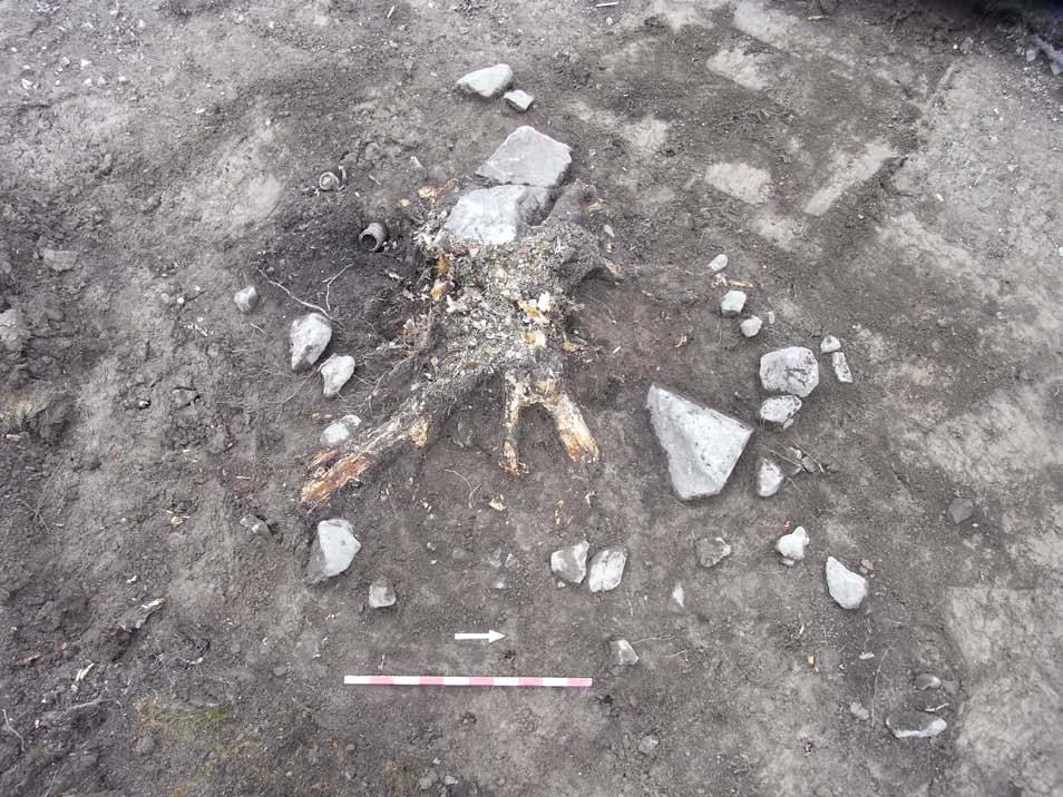 ses. Den lilla skålformade nedgrävningen (106), som påträffades intill stenraden, var endast 0,06 m djup och fylld med ganska lucker, brungrå, lerig silt med inslag av ett par småstenar.