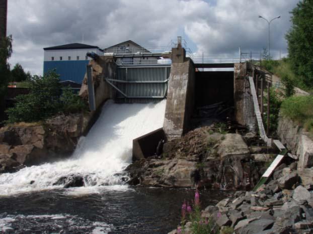Vandringsförsökens rumsfördelning Undersökningen har fokuserat på ålynglens uppträdande på östra sidan av Säveån vid dammen mellan där ålyngelledaren mynnar i kraftverkspoolen och de lodräta