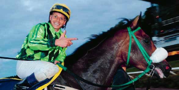 SKANDINAVISK BREEDERS SERIE 0-0 SKANDINAVISK BREEDERS SERIE 0-00 Har du en hingst som skall betäcka under 0, där du vill att avkomman skall kunna vara med i Breeders serien i Skandinavien?