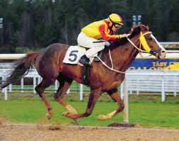 TIPS & RANK Lopp - V- River Of Dreams Mocacha Zacapa Parity Peas Buy And Sell Mingir 0 Rosehill Cool Kenny 9 Gobertier Night Of St George Treåriga fuxstoet River Of Dreams verkar ha fått en