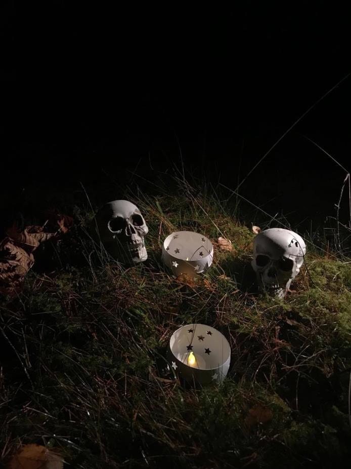 I handen fick vi tillsammans en karta samt en pannlampa som hade haft bättre dagar. Så begav vi oss ut i skogen.