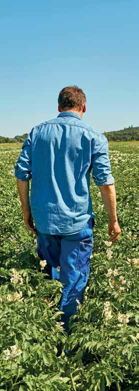 Sortimentet av potatis- och trädgårdsgödsel Yaras sortiment av gödselmedel innehåller ett täckande urval av produkter för en balanserad gödsling av potatis och trädgårdsväxter.