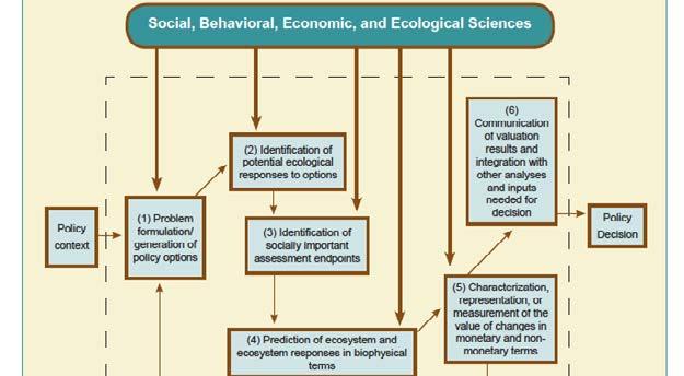 US EPA science advisory