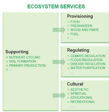 Millennium ecosystem assessment (MEA) 2005 Ecosystem Services The benefits people