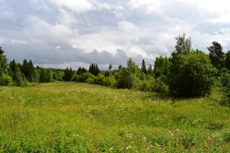 INÄGOMARK Uppgår till 2,2 ha enligt skogsbruksplanen. Marken har inte brukats på senare tid.