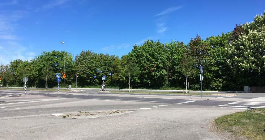 Mark och vegetation Planområdet är idag ett trafikområde och utgörs till största del av asfalterade körytor för motorfordon.