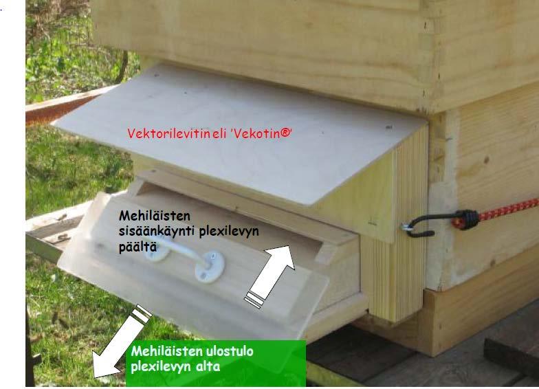 USE OF PRESTOP MIX BIOFUNGICIDE AND HONEYBEES IN THE CONTROL OF DISEASES OF BERRIES AND APPLE