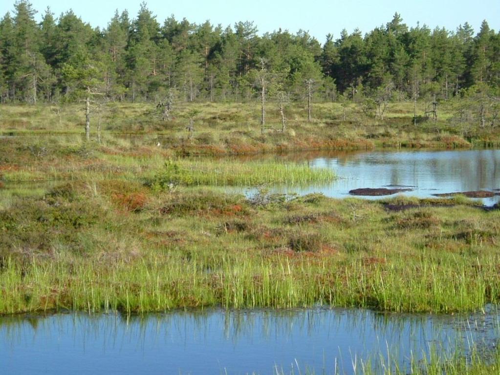 Inventeringen år 2009 Syftet med 2009 års inventering var att följa upp myrfågelfaunan dels på regional nivå (Örebro län) och dels på enskilda myrar.
