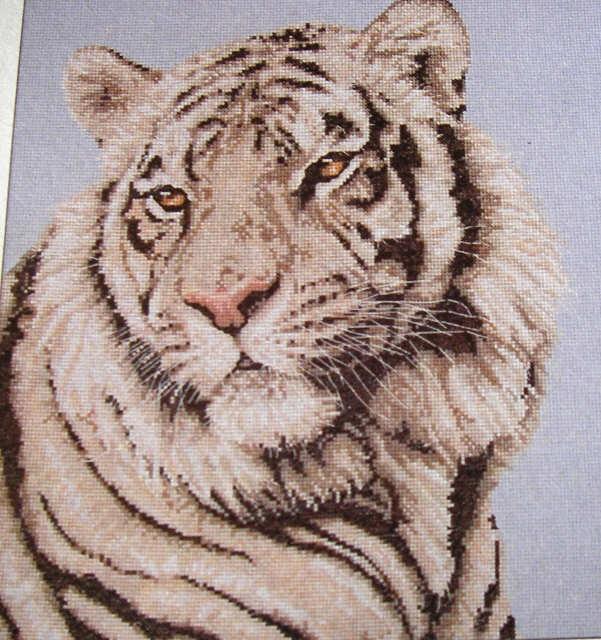 Storlek 24x34 cm 2068 365 SEK Maia. Sibirisk tiger.