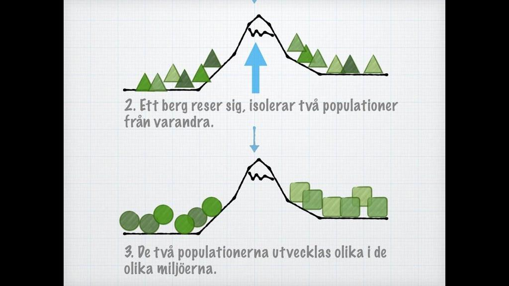 4. FÖRÄNDRAD MILJÖ NYA