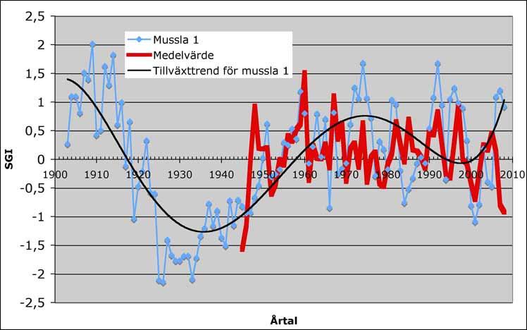 Mussla nummer1 är den enda musslan som är över 100 år. Tillväxttrenden hos denna mussla visar en försämrad tillväxt under en trettioårsperiod mellan 1920-1950 (se figur 10).