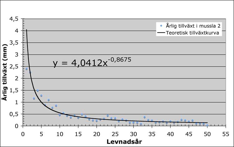 Figur 11. Diagram som representerar årstillväxten (i mm) för de levnadsår som är synliga i tvärsnitt (för mussla 2). År noll i diagrammet motsvarar den tidigaste levnadsår som kunde mätas i tvärsnitt.