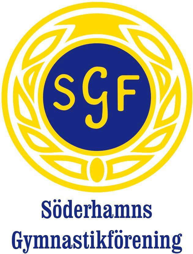 Verksamhetsberättelse 2017 Söderhamns Gymnastikförening