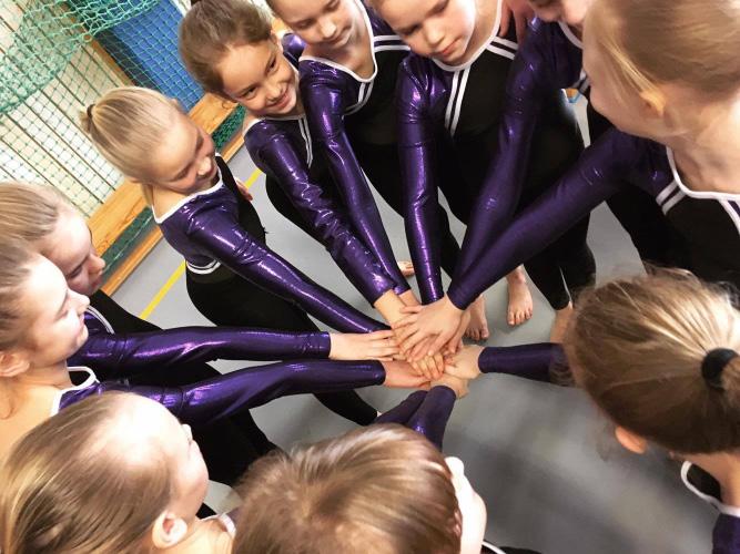 Truppgymnastik Vi i trupptävlingskommitténvill sammanfatta det gångna året 2016 så här: Linda Strandqvist avgår som ordförande och Maria Hjern tar över.