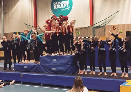 I 16 olika klasser deltog sammanlagt 158 lag från 31 olika föreningar. Den 19-21/2 genomfördes en domarkurs steg 2 för befintliga domare.