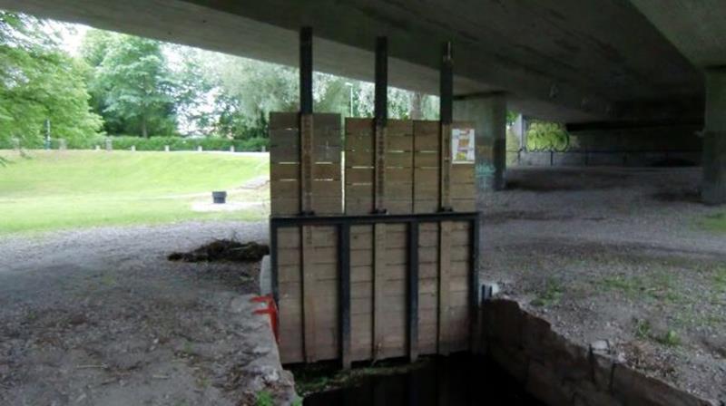 Särskilt angeläget att utreda för Strömsborgs kraftverk är, utan prioritetsordning: 1. Hur väl kan olika uppströmsvandrande fiskarter passera de två grunddammarna vid intagskanalen (konserthuset)? 2.