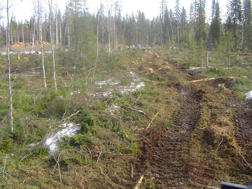 Sträng efter