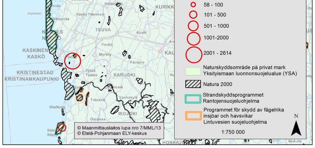 skarvkolonier.