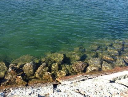Undersökningar i Gränna och Visingsö hamn samt planerad dumpningsplats Figur 23. Storleken på block var på denna yta mindre än de på utsidan av vågbrytaren.