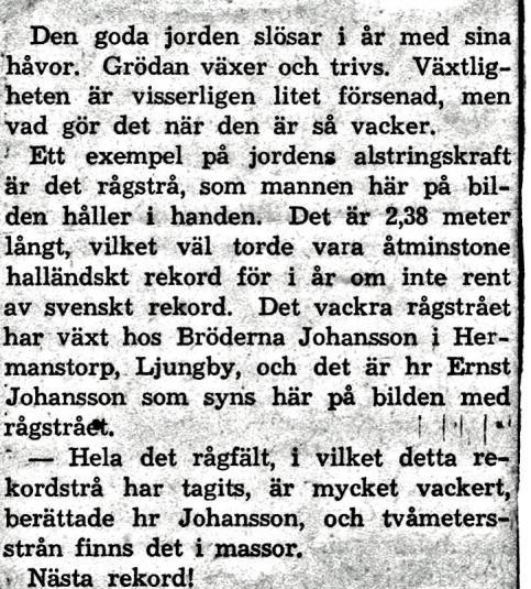 Brodern Ernst i