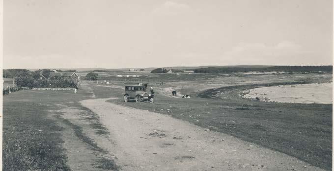 Bild tagen från Båtabacken i reservatets norra del under 1930-talet. Notera hur mycket mindre träd det var på den tiden. Från ett vykort vi lånat av Ann-Marie Hansen.