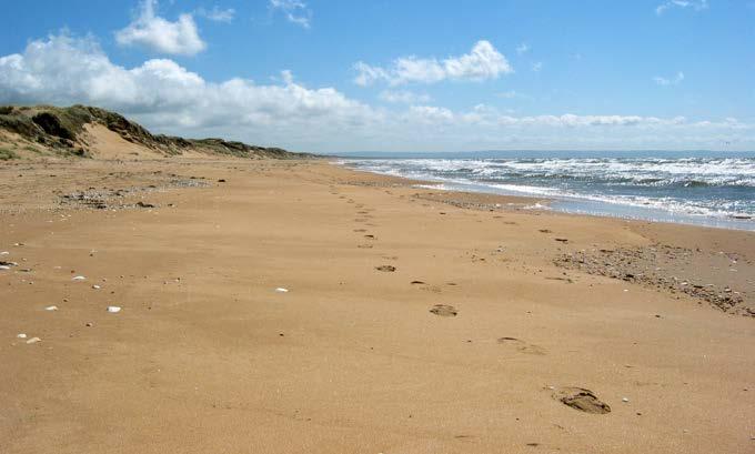 Tönnersas historia (2/2) Sanden behövde en plats, där den gavs möjlighet att leva och röra sig. Havets vågor, vind och vattendrag ska oavbrutet kunna omskapa och nybilda sandlandskapet.