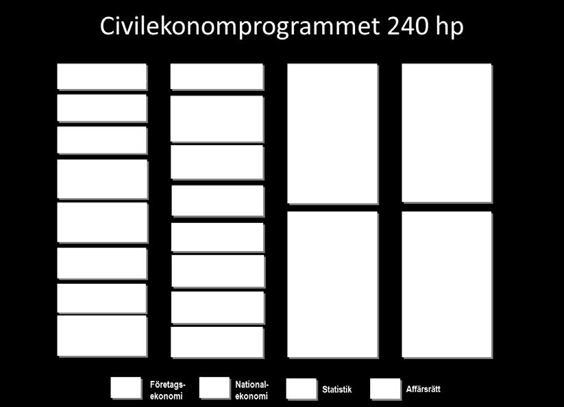 Programmets upplägg Figur 1: Schematisk bild över Civilekonomprogrammets upplägg (varje kolumn representerar en årskurs).