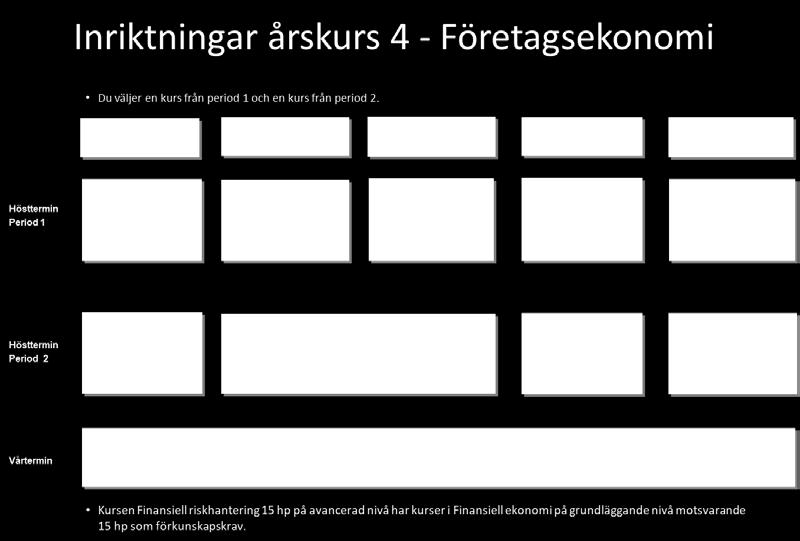 att skapa sin unika profil (t ex delkurser i ekonomistyrning och marknadsföring).