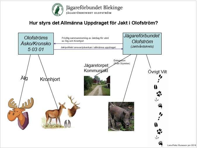 Organisation Jägareförbundet Olofström tillhör en riksorganisation som har det allmänna uppdraget från Regering/Riksdag att förvalta de svenska viltstammarna. Lokalt i Olofström har vi 3 ben: 1.