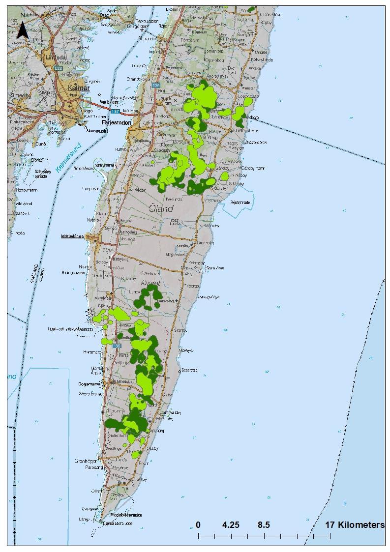 Under vår- och sommarperioderna hade de 16 älgkorna en genomsnittlig hemområdesstorlek på 880 ha (160-2190 ha). Under vintern var ett genomsnittligt hemområde lika stort 890 ha (290-1950 ha).