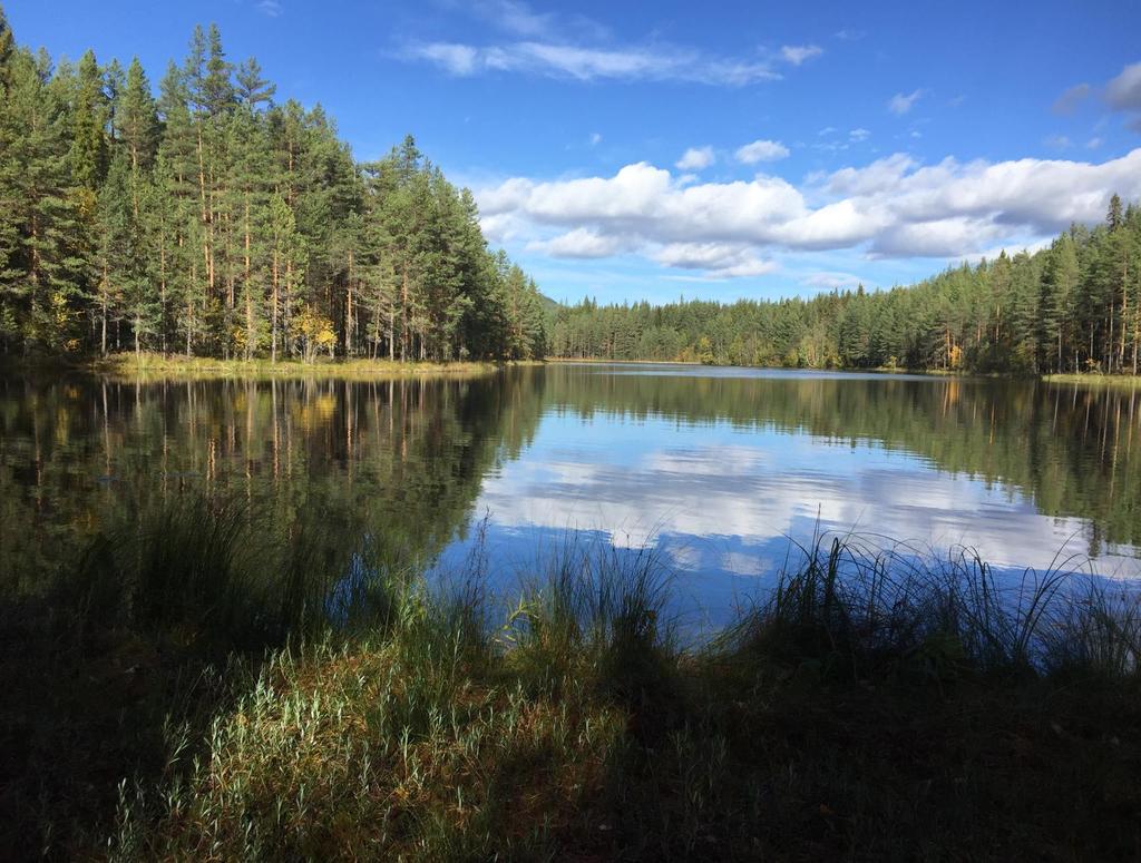 Skog i Mora / Våmhus Mora Kumbelnäs 151:1 Mycket vackert belägen skogsfastighet i ett skifte om ca 65 ha vid Indsjön och Knipholstjärn ca 10 km väster om Våmhus.