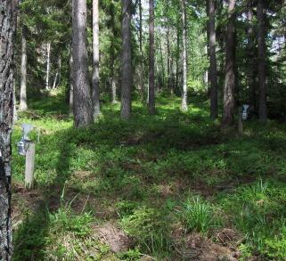 RAPPORT För Värmlands läns Luftvårdsförbund
