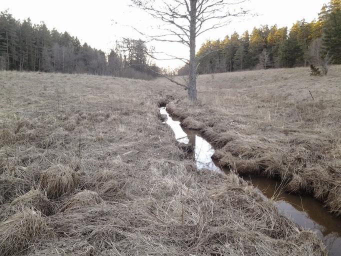 grundförutsättningar är relativt opåverkade. Till denna grupp hör också vattendrag som inte är omgrävda, men har liknande utvecklingsfaser.