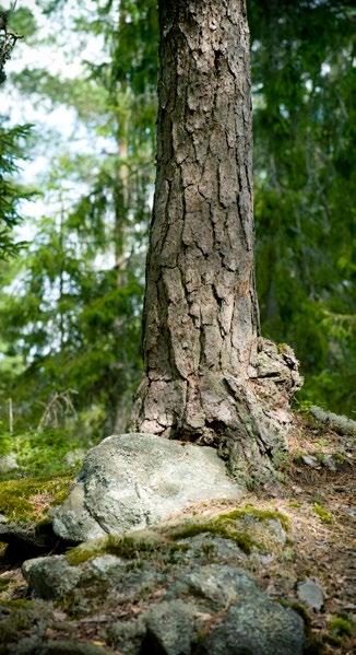 VÄLKOMMEN