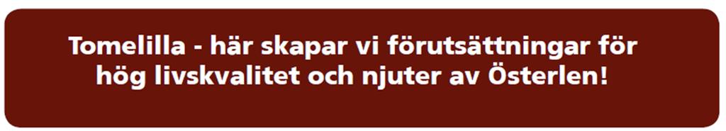 Tomelilla kommuns vision Tomelilla ska vara platsen för inspiration och utveckling.