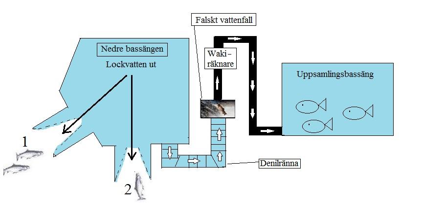 relativt enkelt sätt kunna identifiera fiskens position.
