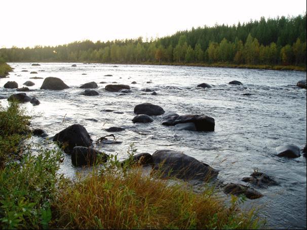 området har förbättrats och ett försök att återfå älvens naturliga