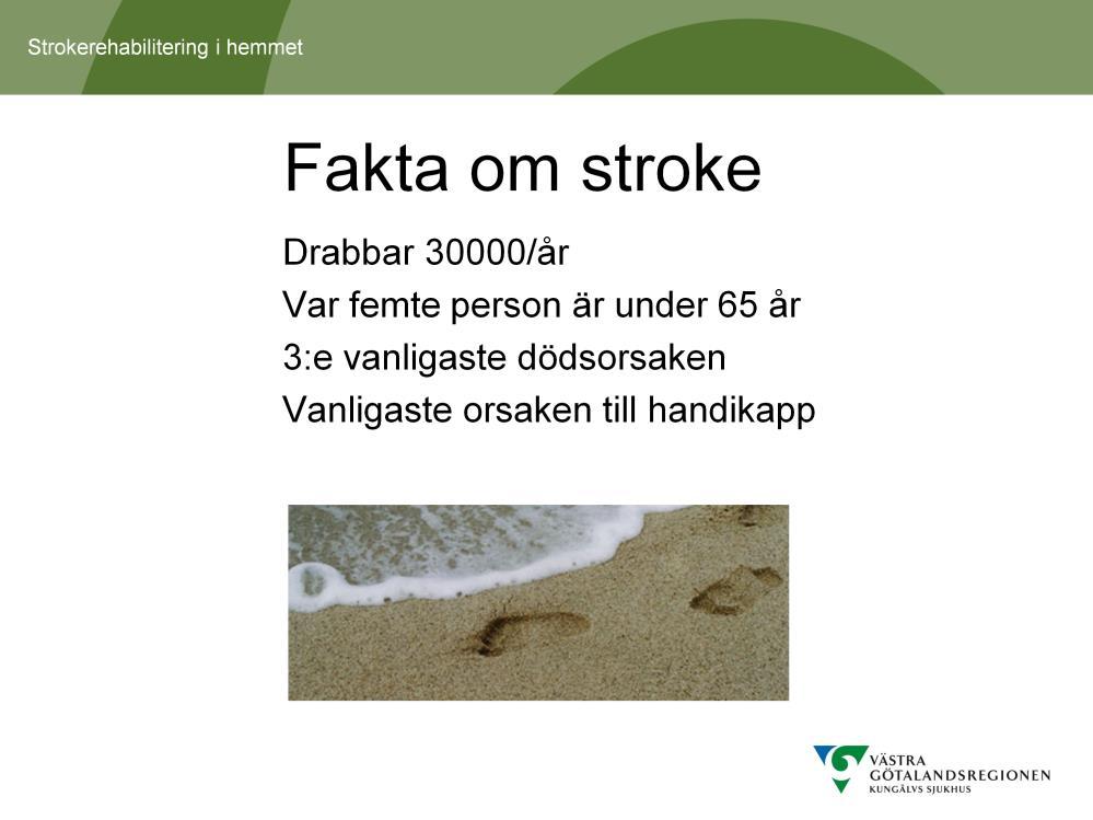 Var 17:e minut drabbas en person i Sverige av stroke. Vid en stroke händer något i de blodkärl som försörjer hjärnan med syre. Oftast är det en propp som bildats och som stoppar blodflödet.