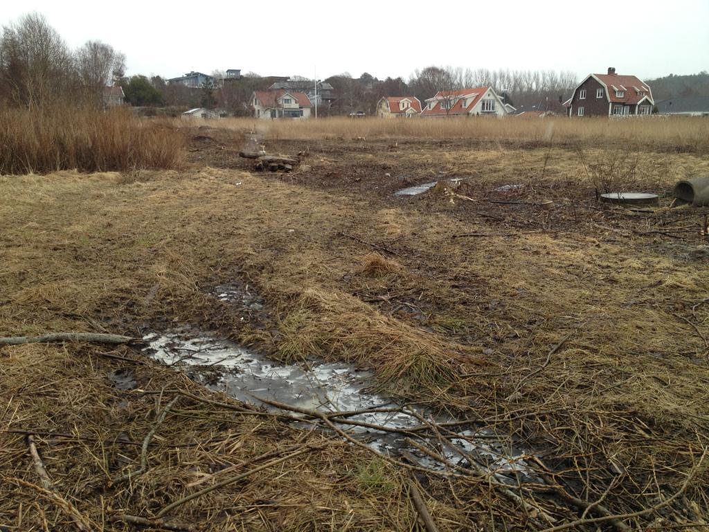 Planområdet, fotot är taget i västligt riktning ut mot havet Figur 4.