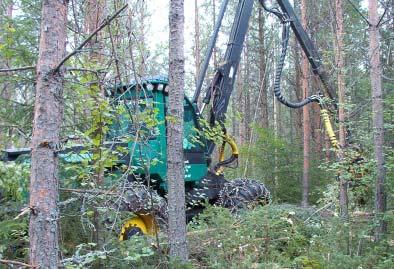 En fråga som man då ställer sig är buntkvistning ett alternativ till sortering?