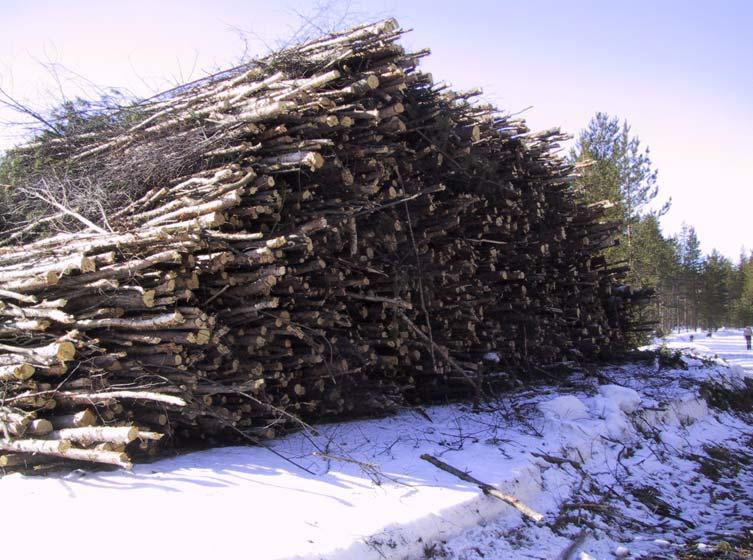 BIOENERGI FRÅN SKOGEN 2003-2007 INFO från projektet 42 Försök med Naarva-energigrip i gallringsskog Metla har testat energigripen från Naarva i avverkningsförsök, där kapaciteten har utvärderats i
