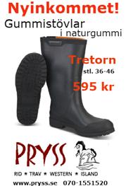 veterinärstallet och avelscafét på publikplatserna var även det välbesökt.