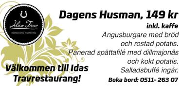 TRIPPELTRAVET Apropå Första Testet så är ju det ett av två testlopp så att de fyraåriga stona ska kunna prova på den långa distansen i StoChampionatet.