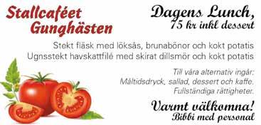 Under trippeltravet fortsätter vi vår satsning att presentera bra liveband på lördagskvällen, Arvingarna blev ju en stor succé förra året.