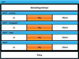 Ansikte, Kroppsdel, Uttal och samlat AKUT score