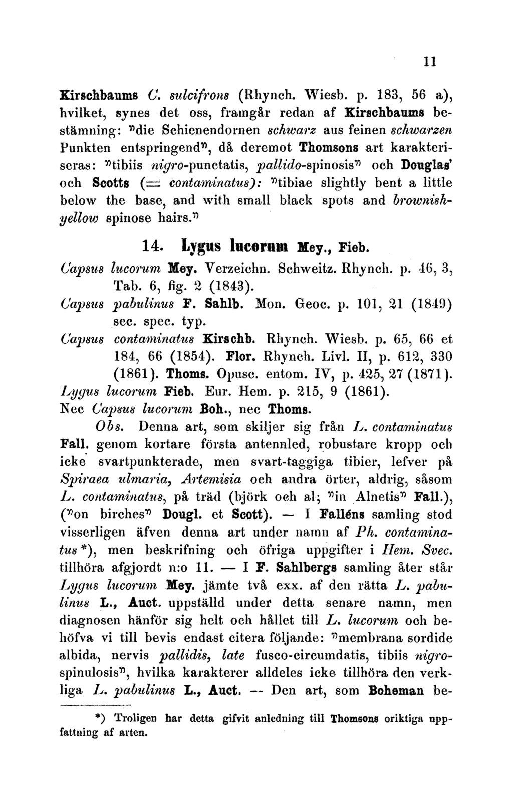 Kirschbaums (. sulcifrons (lhynch.. Wiesb. p.