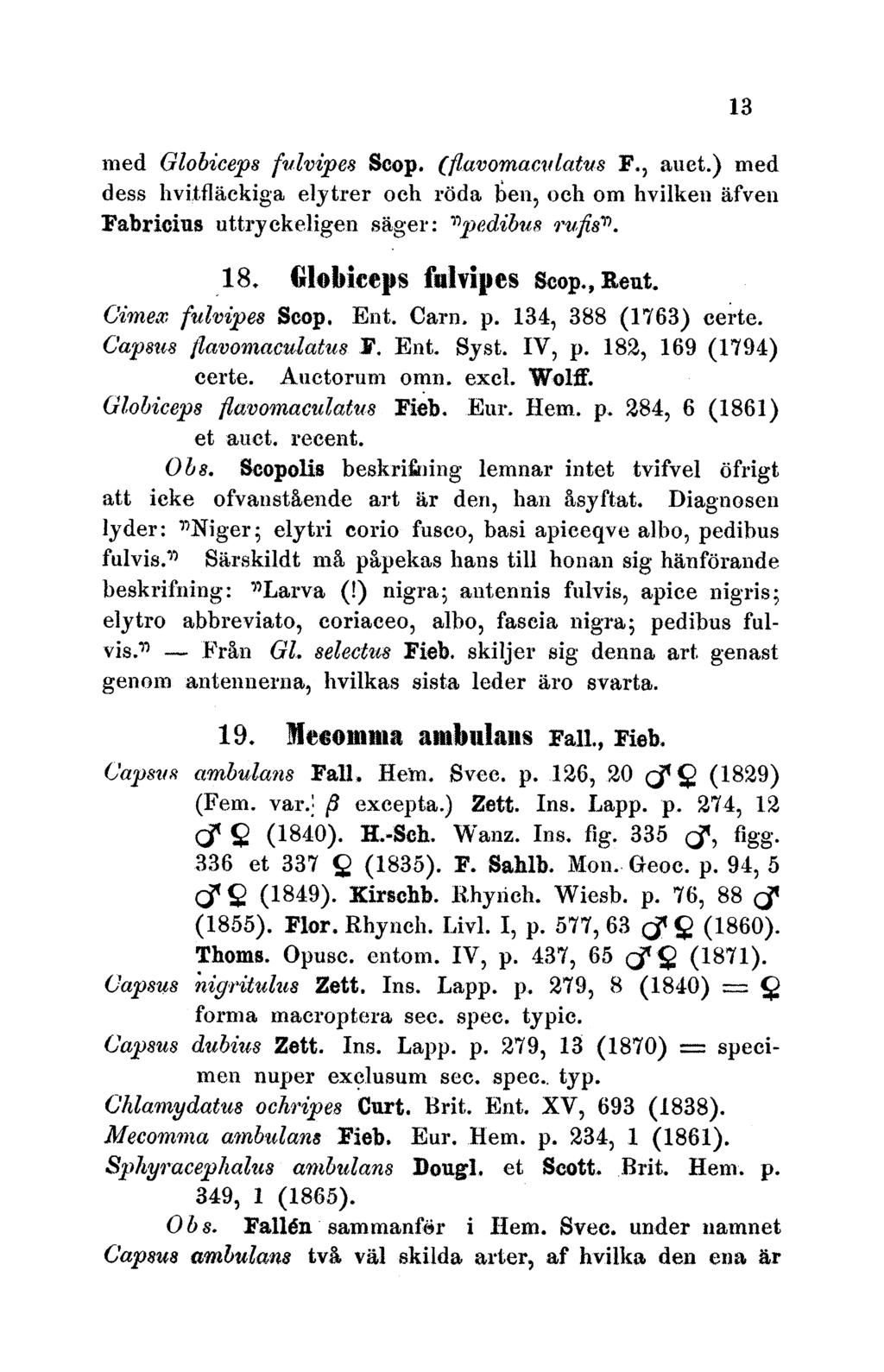 med Globiceps fulvipes Scop. (lavomacudatus F., auct.) nmed dess lhvitfiackiga elytrer och rlda ben, och om hvilken ifven Fabricius uttryckeligen sager: ')pedibus qwfits. 18. GlobiCePs fulvipes Scop.
