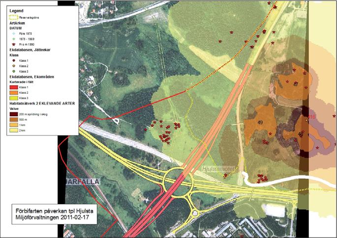 MKB till arbetsplan E4 Förbifart Stockholm Figur 19.16 I de landskapsekologiska analyserna som gjort i Stockholms stad har habitatnätverk för eklevande och barrskogsarter genomförts.